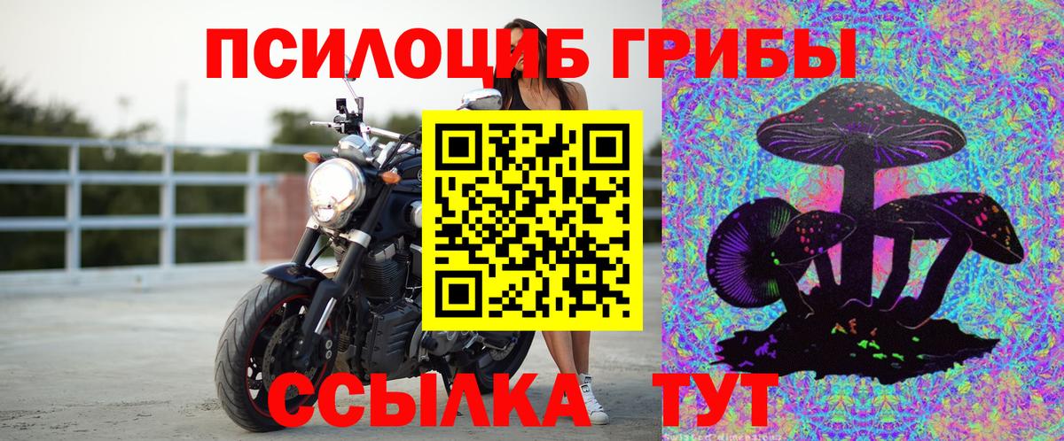 Красноуфимск  Псилоцибиновые грибы прущие грибы  Вход с VPN 