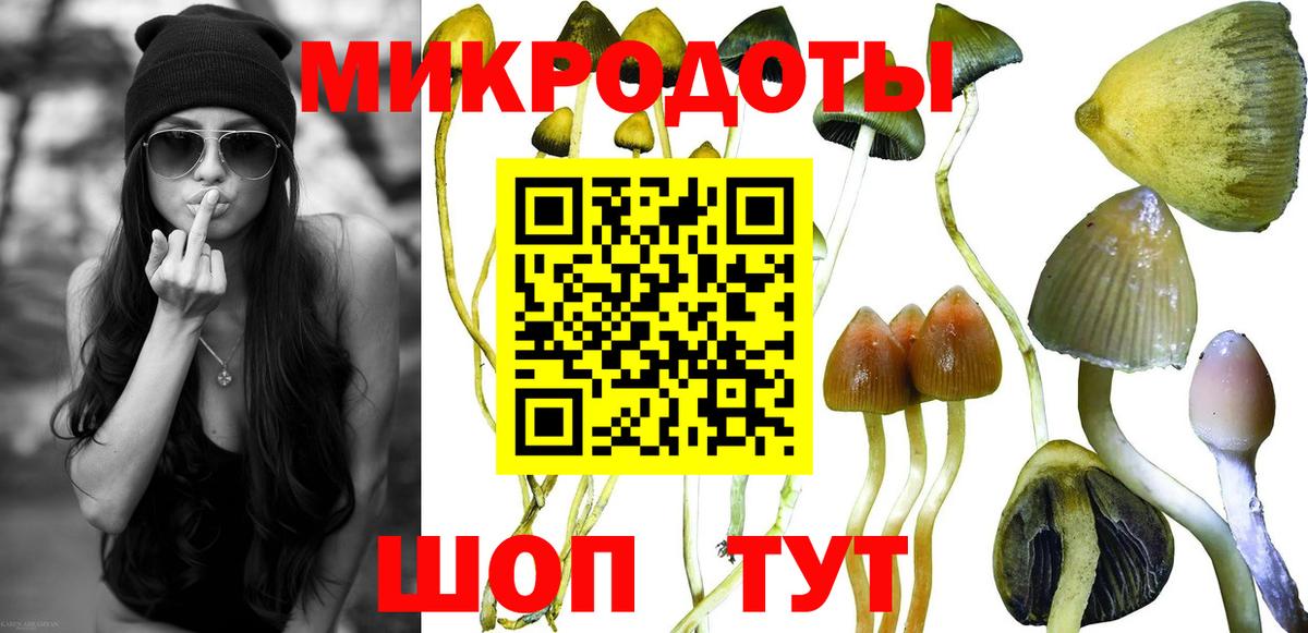Псилоцибиновые грибы мухоморы Красноуфимск